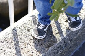 お客様の声（中学2年生男子）